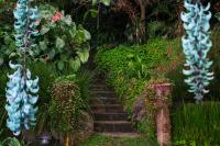 Relaxtitlan House on the lake shore - B&B Panajachel