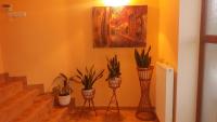 Noclegi Avoca - B&B Pyrzowice