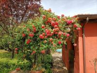 CoachingHouseWinter - Chambres d’hôtes Arezzo