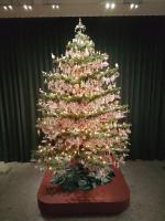 DOMUS AETRURIAE (ETRURIE) - Chambres d’hôtes Bracciano