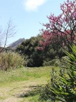 Studio 35m2 climatisé, 10mn des calanques - Ferienwohnung La Ciotat