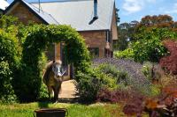 The Pony Lodge - B&B Hepburn Springs