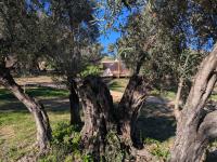 I Giardini del Caramante - B&B Soverato Marina