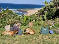 Surf Cottage Ifafa - B&B Ifafa Beach