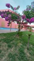 Family Space - Chacara Rosa Beautiful and Comfortable - B&B Cuiabá