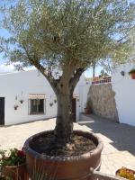 Casa Azafranes - Boutique B&B - Arenas - B&B Arenas