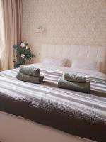 Apartament centru Negruzzi - Ferienwohnung Chişinău