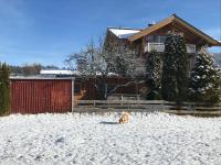 Sissy Appartment - B&B Kössen