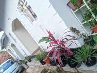 Homey Stay - B&B Kampala