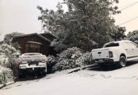Harrys Lookout Family and Pet Friendly Home between Leura and Katoomba - Chambres d'hôtes Katoomba