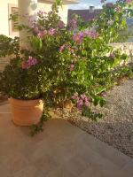 Apartmani Luka - Chambres d’hôtes