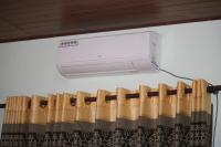 Camera Queen Standard