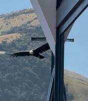 Ncielo Adventure Lodge - B&B Quito