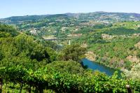 Cherry Douro Hill - B&B Resende