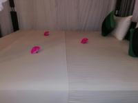 Doppelzimmer mit Gartenblick