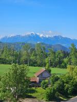Mountain View Amza Accomodation - B&B Râşnov