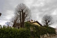 Bellagio Magreglio - Terrace & Free Parking - B&B Magreglio