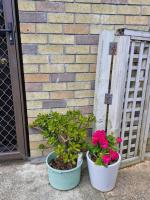 Peaceful Mikimiki Valley Cottage near Tararua Park Trailhead - Bed and Breakfast Masterton