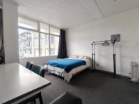 Cosy Thorndon Room in Wellington - Chambres d’hôtes Wellington
