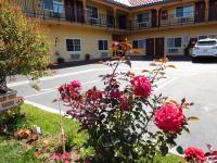 Diamond Inn - B&B