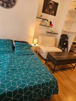 Studio plein centre - Ferienwohnung Auch