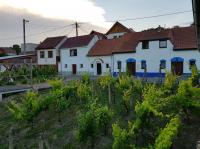 Vinný sklípek s ubytováním - Bed and Breakfast Bořetice