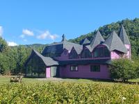 Spectra Lodge - B&B Malalcahuello