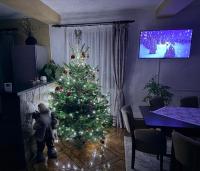 Vila Liniștea serii - B&B Bran