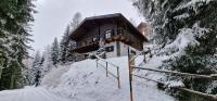 Chalet Alpl - Ferienwohnung Waldblick mit Sauna, Kamin & Whirlwanne - B&B Hochrindl