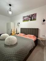 White Studio - Ferienwohnung Câmpulung Moldovenesc