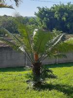 Casa Amarela Ecoloft Brasil 88 - Ferienwohnung São Pedro