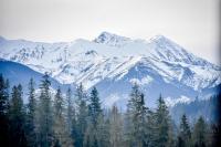 Chalet met 2 Slaapkamers