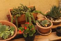 Casa Ernesto-AMICA DEI CICLISTI - B&B Acquasparta