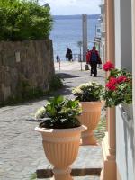 Apartment Villa Zur Altstadt Sassnitz - B&B Sassnitz