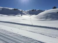 Apartment with Garden View