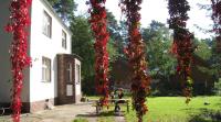 VILLA AM SEE - nähe Berlin - Bed and Breakfast Biesenthal