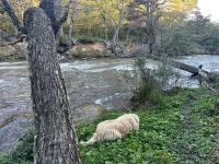 Casa en Ushuaia - B&B Ushuaia