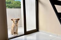 Classe A - Ferienwohnung Viçosa