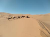 Isolé Bivouac Merzouga - B&B Merzouga