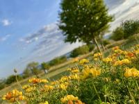 Casa con 2 Camere da Letto