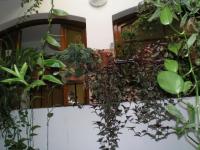 B&B Vilaller - Hostal Maurin - Bed and Breakfast Vilaller