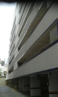 Estudio (3 adultos)