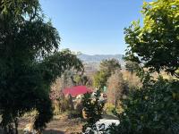 Habitación Doble Deluxe con vistas al jardín - 1 o 2 camas