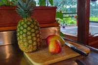 Chalé de montaña con Jacuzzi - B&B Guarne