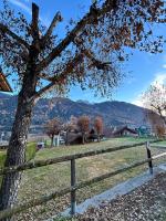 IL PINO CEMBRO Apartment Val di Sole - B&B Terzolas