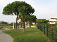 Le serpent de mer - B&B Le Grau-du-Roi