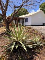 La Kaz Mava - B&B Saint-Leu