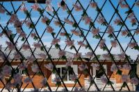 La Grande - B&B Benoni