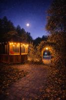Peaceful Forest Retreat with Fire Pit and BBQ near Mansfield Ski Club - Chambres d'hôtes Mulmur