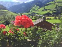 B&B Rauris - Landhaus Bergheimat - Bed and Breakfast Rauris